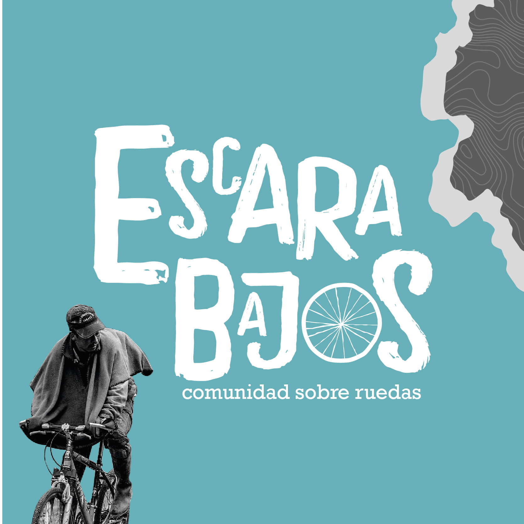 Escarabajos