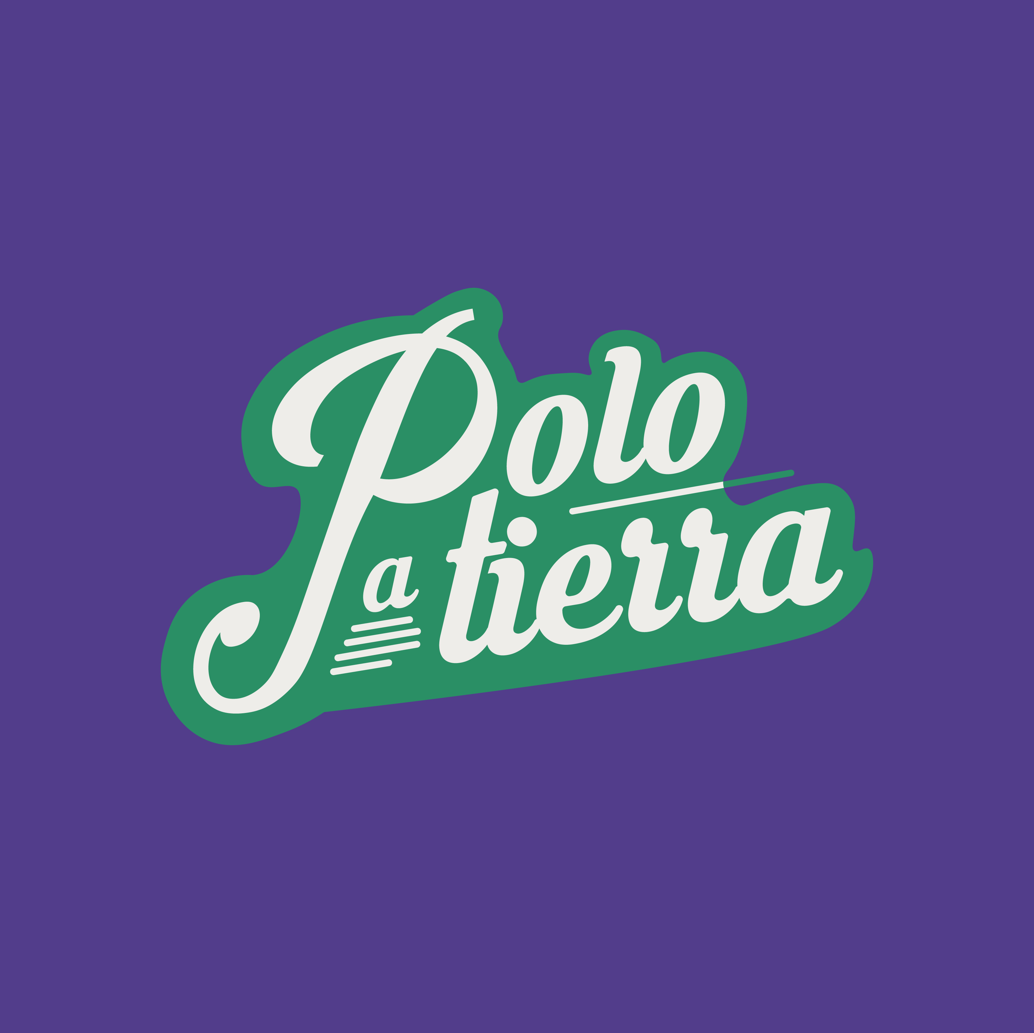 Polo a tierra